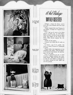 À bel Étalage Bonnes Recettes, 1948 - Étalages de corsets Shop windows, 5 pages