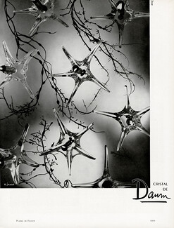 Daum (Crystal Glass) 1957 Photo Jahan