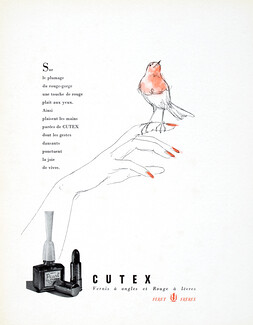 Cutex 1956 Féret, Bird