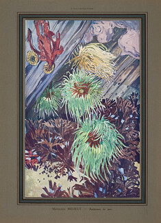 Mathurin Méheut 1913 "Anémones de mer", Peintre de la vie sous-marine, Painting published in magazine