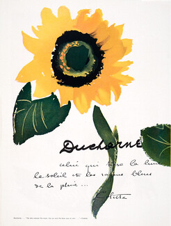 Ducharne 1948 Sunflower, Text by Colette (translated in English)