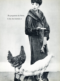 Renel (Fur Clothing) 1957 Hermès Gloves, Sterlé, Photo Guy Bourdin