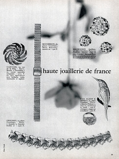 Cartier, Boucheron, Mauboussin, Van Cleef & Arpels, Chaumet 1964 Photo Horak