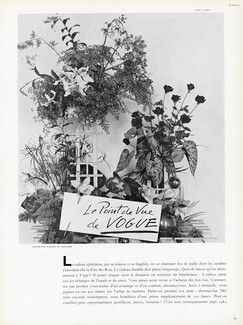 Lachaume 1951 Composition florale, Photo Henry Clarke