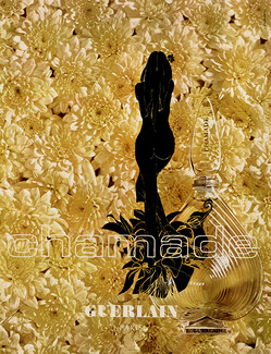 Guerlain (Perfumes) 1970 Chamade, Nikasinovich