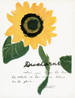 Ducharne 1948 Sunflower, Colette
