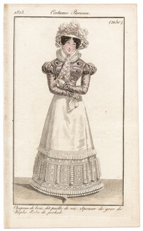 Le Journal des Dames et des Modes 1823 Costume Parisien N°2150