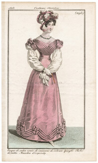 Le Journal des Dames et des Modes 1823 Costume Parisien N°2193