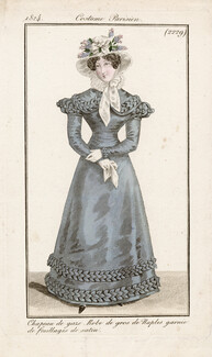 Le Journal des Dames et des Modes 1824 Costume Parisien N°2229