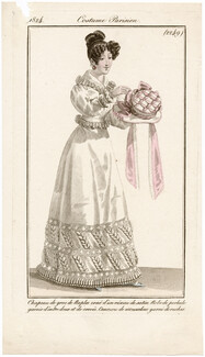 Le Journal des Dames et des Modes 1824 Costume Parisien N°2249
