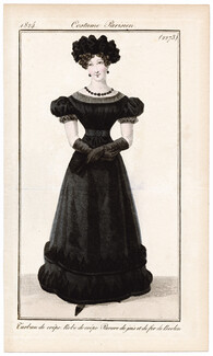Le Journal des Dames et des Modes 1824 Costume Parisien N°2273