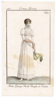 Le Journal des Dames et des Modes 1807 Costume Parisien N°848