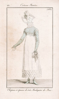 Le Journal des Dames et des Modes 1811 Costume Parisien N°1188