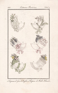 Le Journal des Dames et des Modes 1813 Costume Parisien N°1315