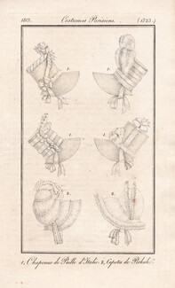 Le Journal des Dames et des Modes 1813 Costume Parisien N°1323