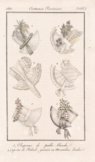 Le Journal des Dames et des Modes 1816 Costume Parisien N°1568
