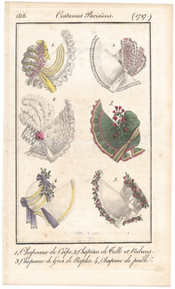Le Journal des Dames et des Modes 1818 Costume Parisien N°1727