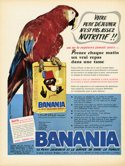 Banania 1960 Parrot