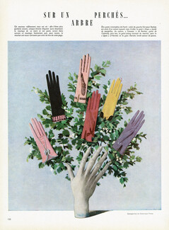 Hermès (Gloves) 1946 Dominique Fircsa
