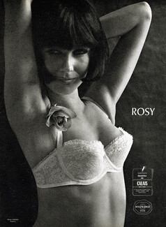 Rosy (Lingerie) 1964 Bra, Rose, Photo Kazan