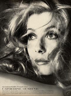 Catherine Deneuve 1969 Photo Avedon, An Untouchable French Star