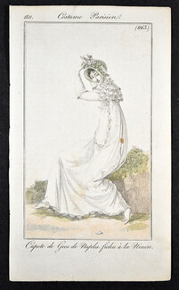 Le Journal des Dames et des Modes 1811 Costume Parisien N°1163