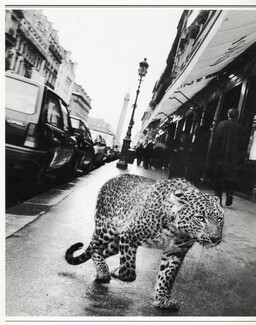 Cartier (High Jewelry) 2000 Panther, Rue de la Paix, Photo Jean Larivière