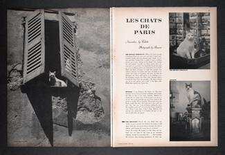 Les Chats de Paris, 1946 - Paris Cats, Colette, Photographs by Brassaï, Text by Colette, 4 pages