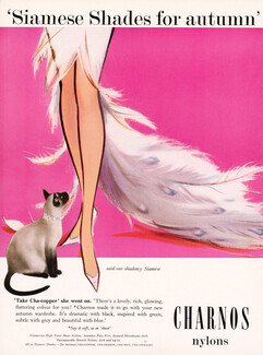 Charnos (Stockings) 1960 Siamese Cat
