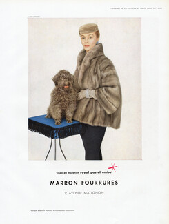 Marron Fourrures (Fur Coat) 1954 Photo Harry Meerson, Poodle