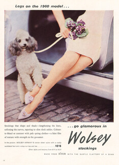 Wolsey Nylons (Hosiery) 1960 Stockings, Poodle