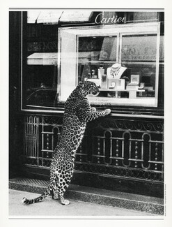Cartier (High Jewelry) 2000 Panther, Rue de la Paix, Shop window, Photo Jean Larivière