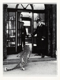 Cartier (High Jewelry) 2000 Panther Enters Store, Rue de la Paix, Photo Jean Larivière