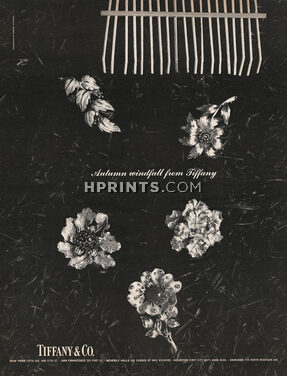Tiffany & Co. 1967 Flower Clips, Autumn Windfall, Photo Nishimura