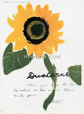 Ducharne 1948 Sunflower, Colette