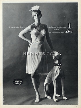Lora 1964 Greyhound Dog Sighthound Lingerie