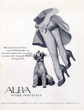 Alba Nylons (Stockings) 1951 Fox Terrier Dog