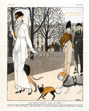 Bernard Boutet de Monvel 1914 French Bulldog, Fashion for Dogs, Elegant Parisienne