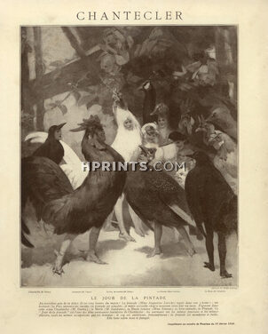 René Lelong 1910 Chantecler, Disguise Costume, Pheasant, Owls, Cock, Guinea fowl... 4 illustrated Pages, 4 pages