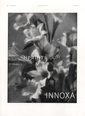 Innoxa (Cosmetics) 1930 Lecram-Vigneau, bamboo orchid