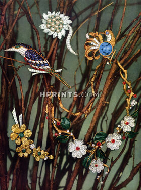 Cartier (Paradise Bird Gold and Brilliants) 1962 Van Cleef & Arpels (Bird) Harry Winston, Boucheron (Flowers)
