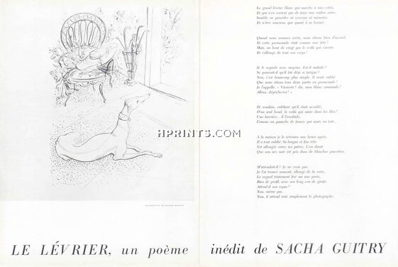 Suzanne Balivet 1954 "Le Lévrier" Sacha Guitry, Sighthound