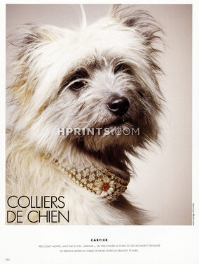 Cartier 1991 Dog, Photo Jean-Louis Bloch-Lainé