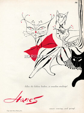 Hanes 1951 Cat, Bobri