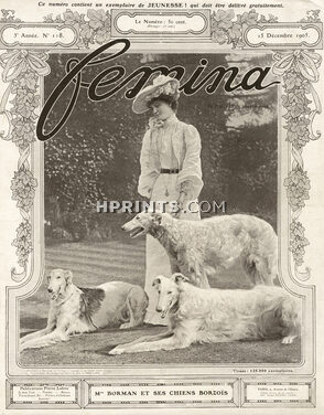 Mrs Borman 1905 Borzoïs, Greyhound Dogs