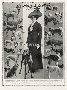 The Fashionable Dogs 1911 Barzoï, French Bulldog, Sky Terrier, Bull, Loulous, Fox, Colley, Pekingese Dog
