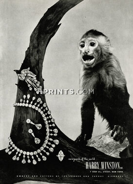 Harry Winston 1951 Vargas Diamonds, Monkey