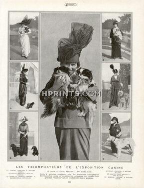 Exposition Canine 1913 Pekingese Dogs, Sighthound, Briard, Cockers