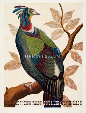 Caron 1946 Les Lophophores Fards Pour Les Yeux, Eyes-liner, Bird