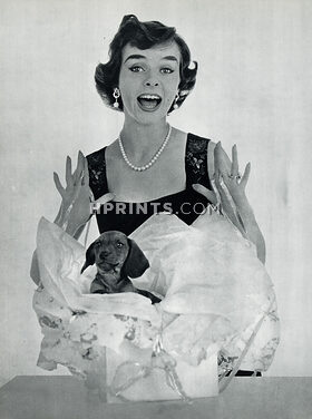 Mellerio dits Meller 1954 Givenchy-Boutique, Teckel, Photo Kazan